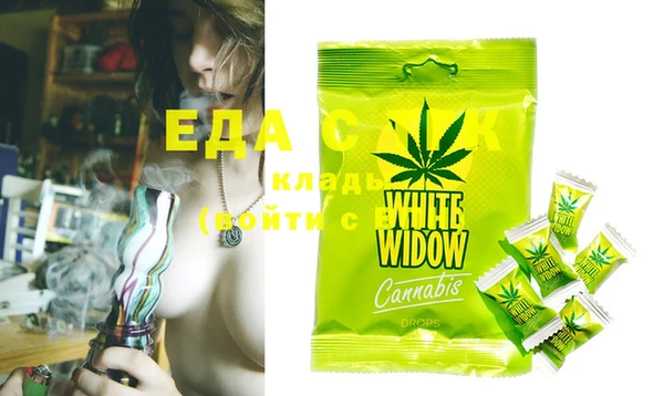 стаф Нея