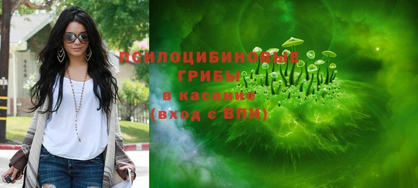 стаф Нея