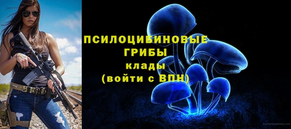 стаф Нея