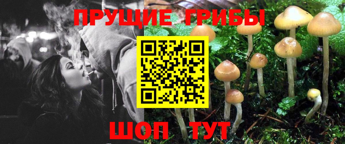 Шахты  Галлюциногенные грибы Magic Shrooms  купить закладку  Вход с VPN 
