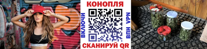 Каннабис сатива где продают наркотики сайты даркнета клад Шахты